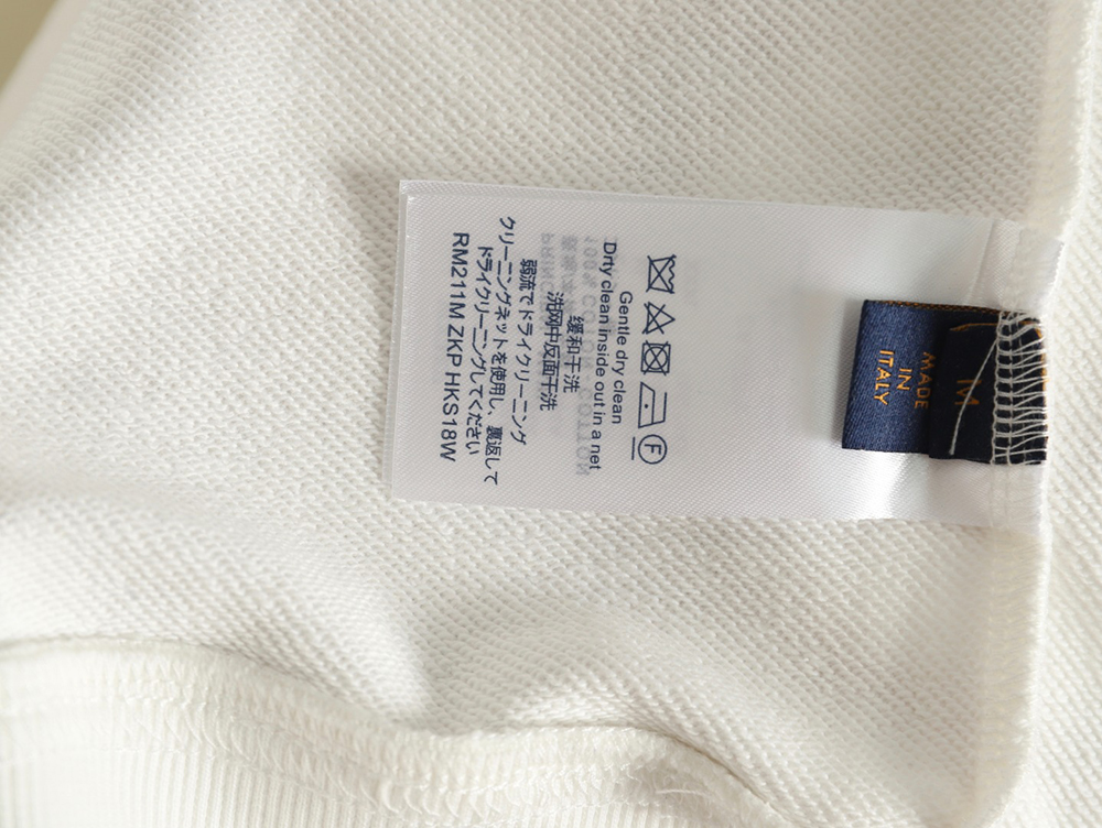 Louis Vuitton ski logo embroidered crewneck sweatshirt