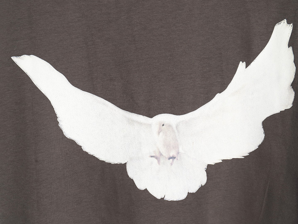 Yeezy & Gap & Balenciaga joint peace dove theme long-sleeved T-shirt TSK1