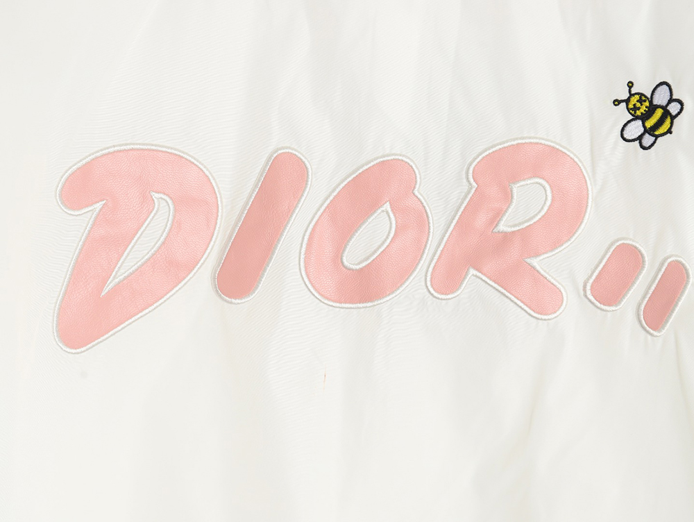 Dior embroidered letters small wasp hooded jacket