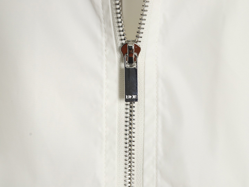 Dior embroidered letters small wasp hooded jacket