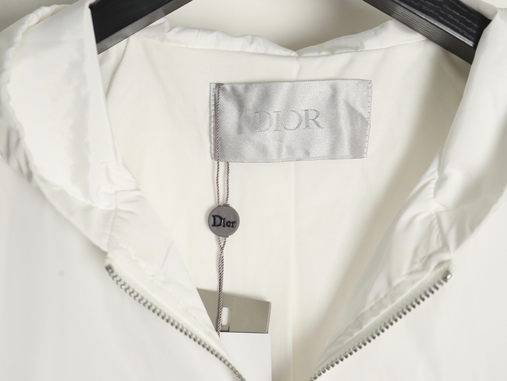 Dior embroidered letters small wasp hooded jacket