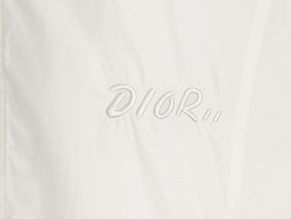 Dior embroidered letters small wasp hooded jacket