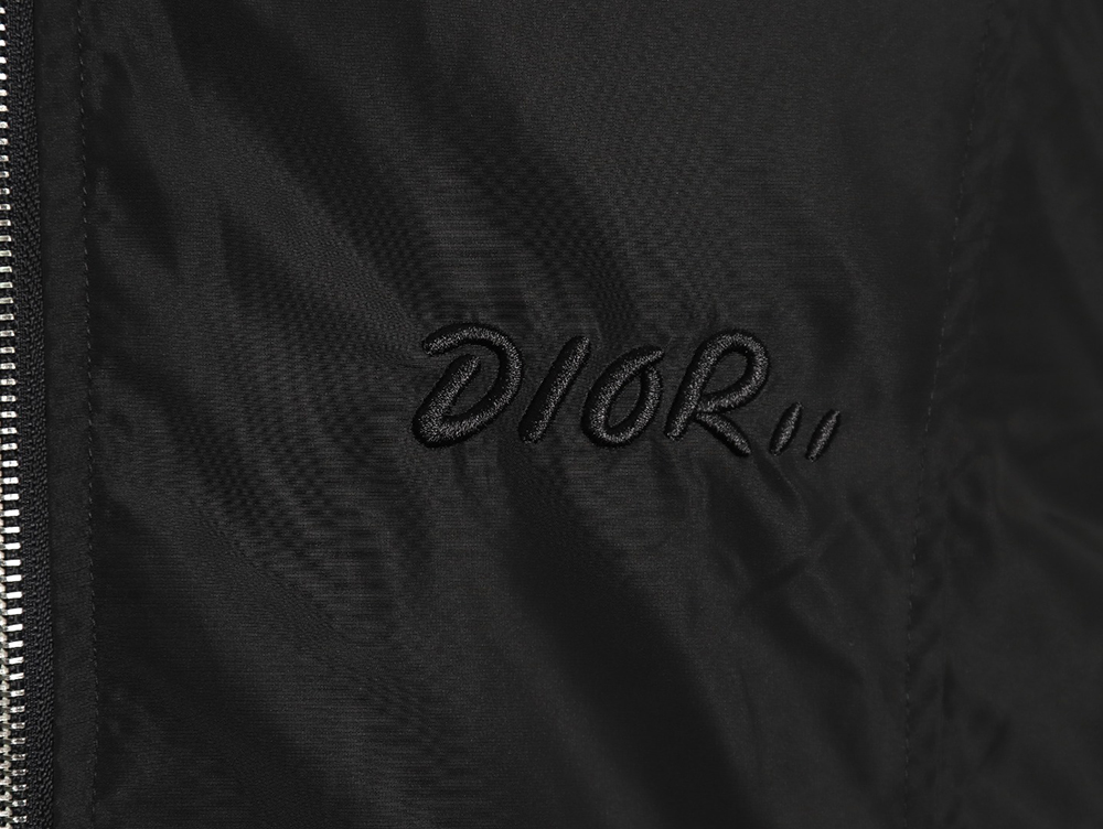 Dior embroidered letters small wasp hooded jacket TSK2