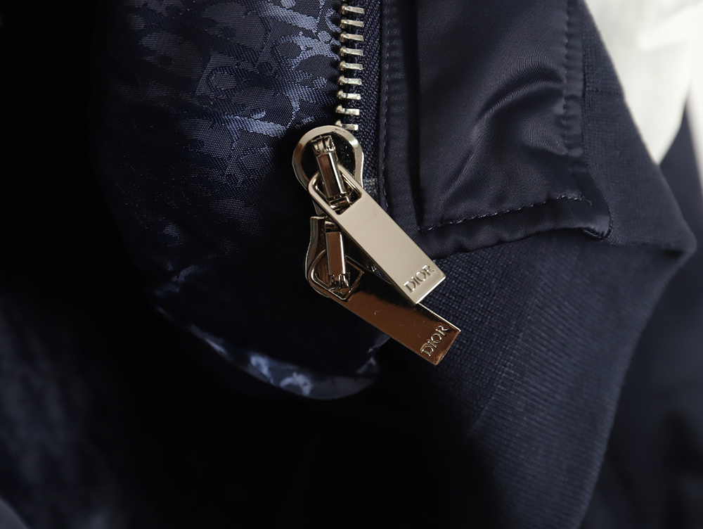 Dior & Air Jordan joint model flying wings embroidered flight jacket