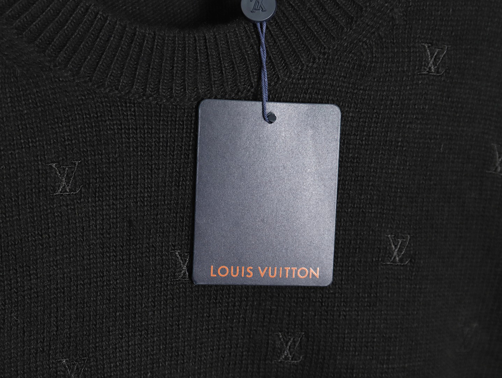 Louis Vuitton all over embroidered sweater