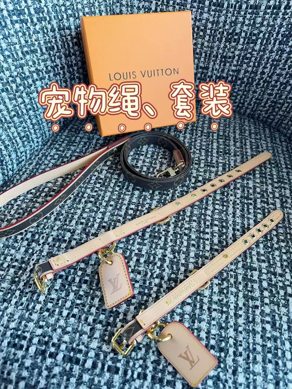 Louis Vuitton Dog Collar + Dog leash