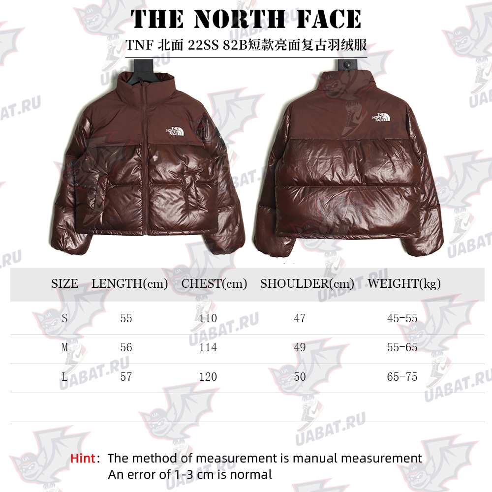 The North Face Short Vintage Down Jacket TSK1