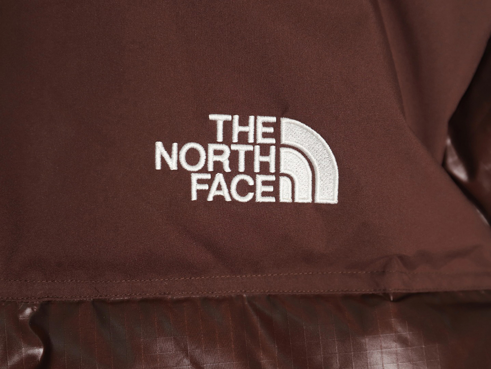 The North Face Short Vintage Down Jacket TSK1