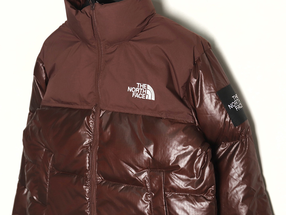 The North Face Short Vintage Down Jacket TSK1