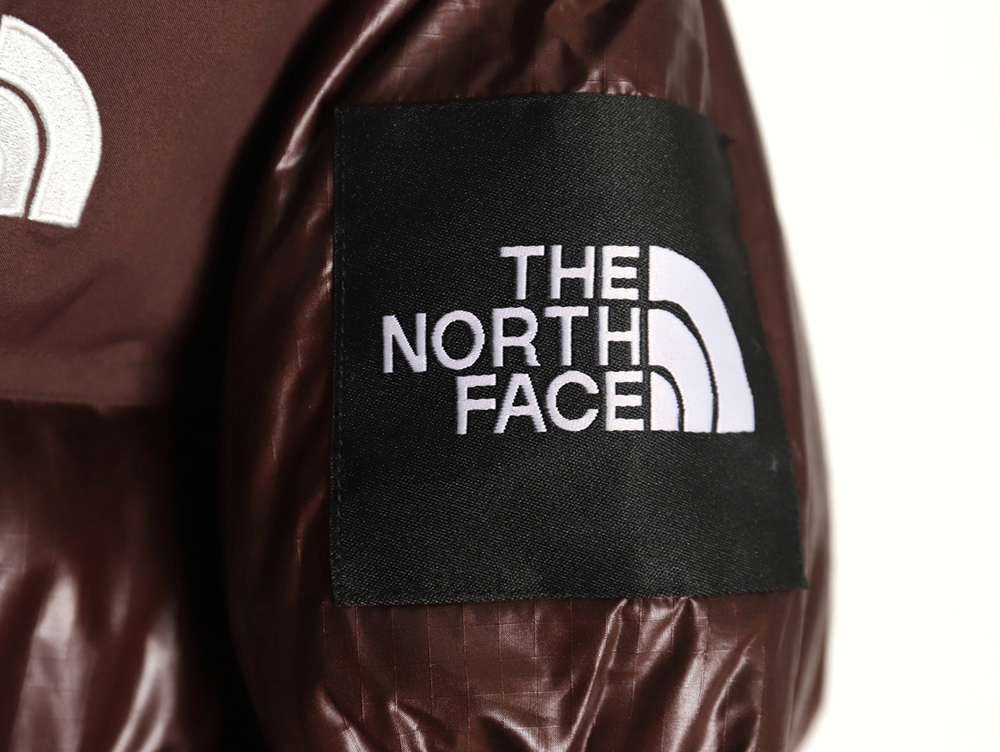 The North Face Short Vintage Down Jacket TSK1