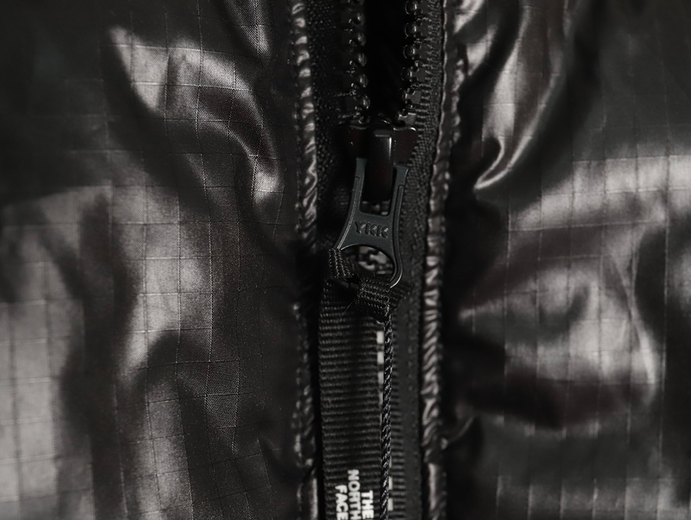 The North Face Short Vintage Down Jacket TSK2