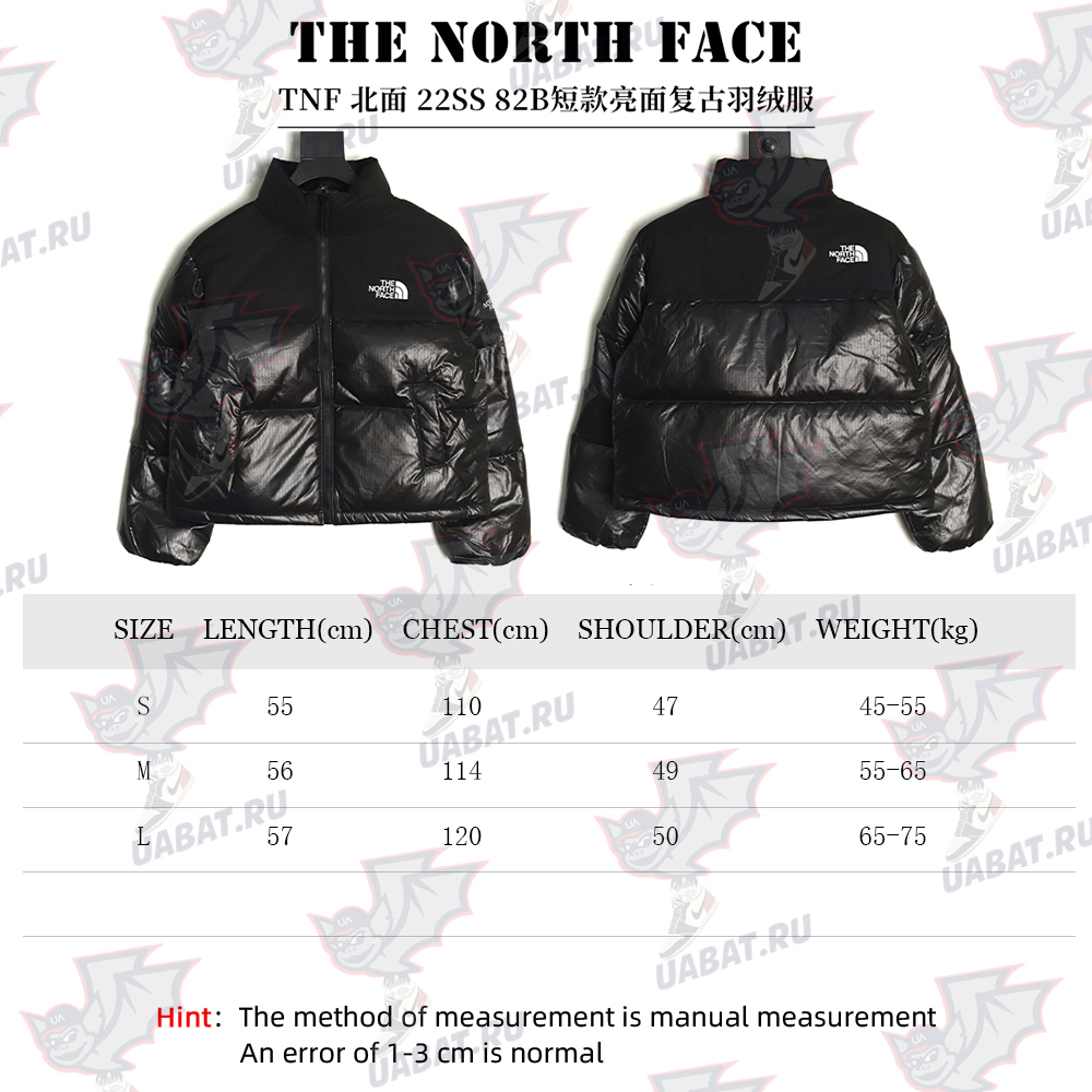 The North Face Short Vintage Down Jacket TSK2