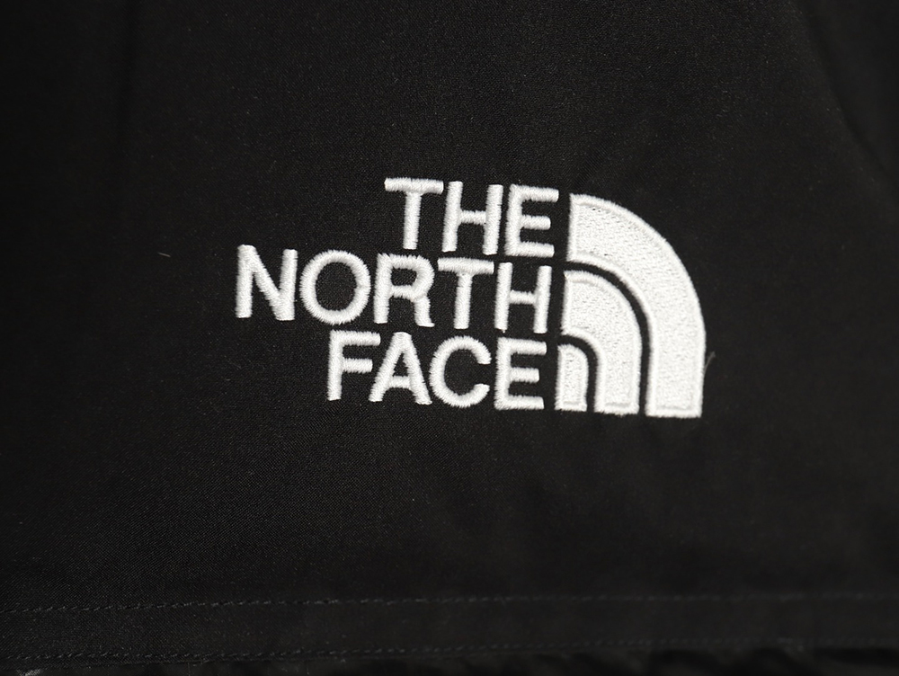 The North Face Short Vintage Down Jacket TSK2