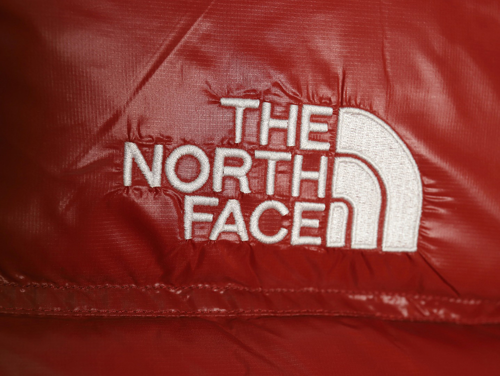 The North Face Short Women's Down Jacket TSK1