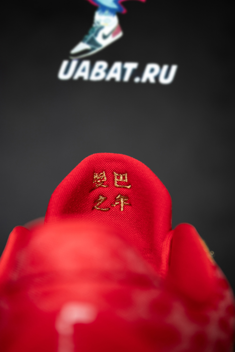 Nike Kobe 5 Protro “Year of the Mamba”