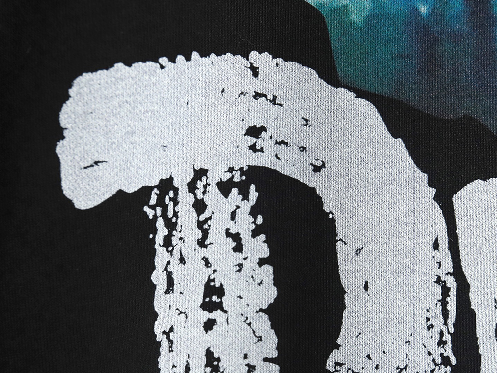 Dior printed crew neck sweatshirt TSK1
