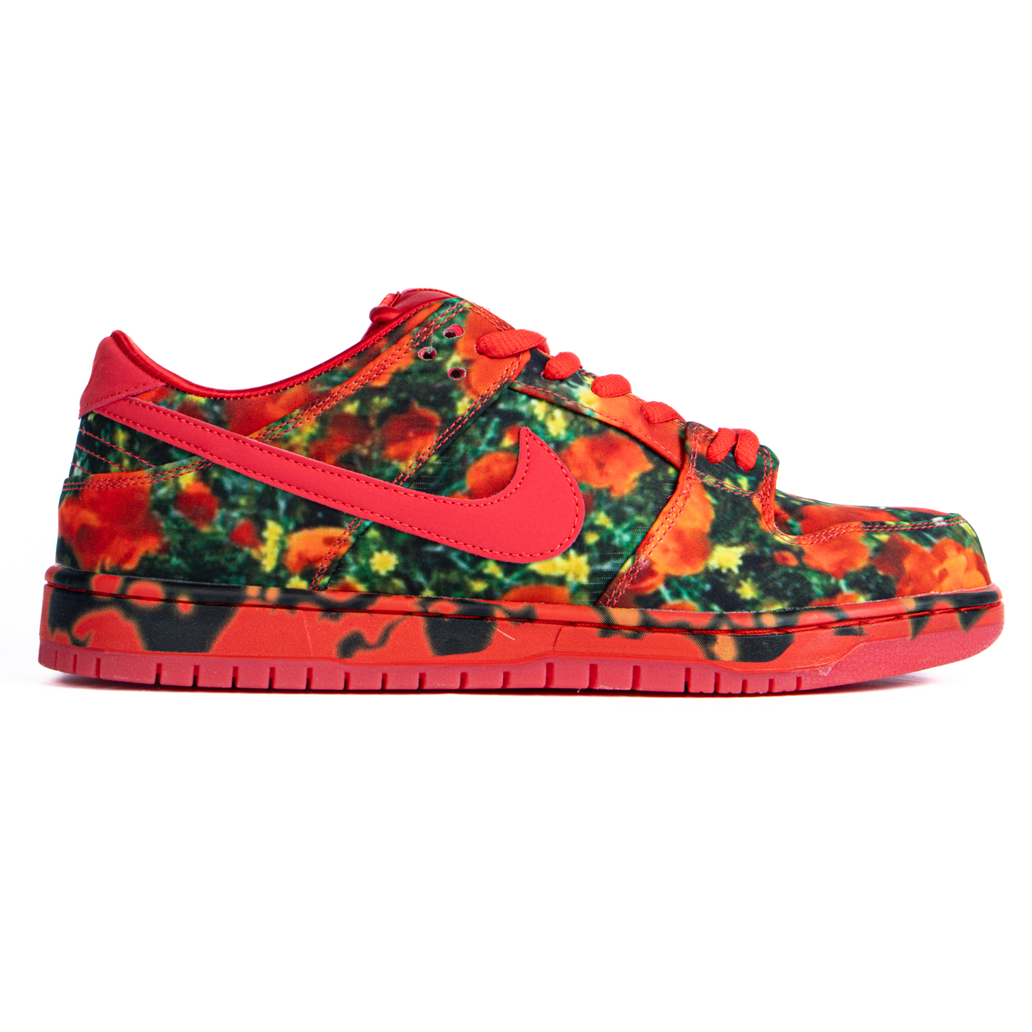 The Wizard of Oz x Nike SB Dunk Low