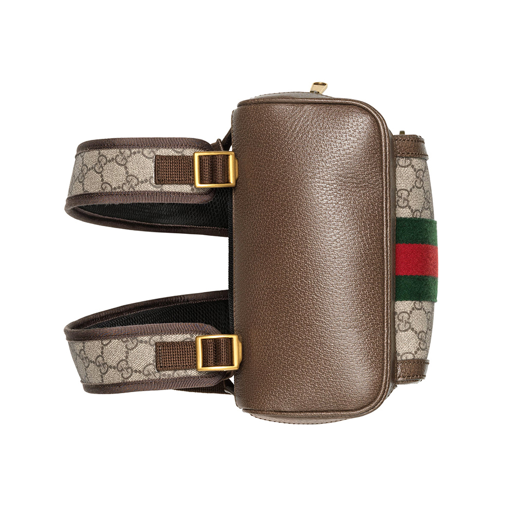 Gucci Bags 547965 22*29*15cm