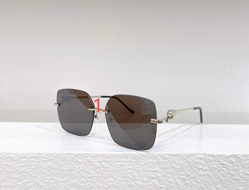 Cartier eyeglasses CT0359S