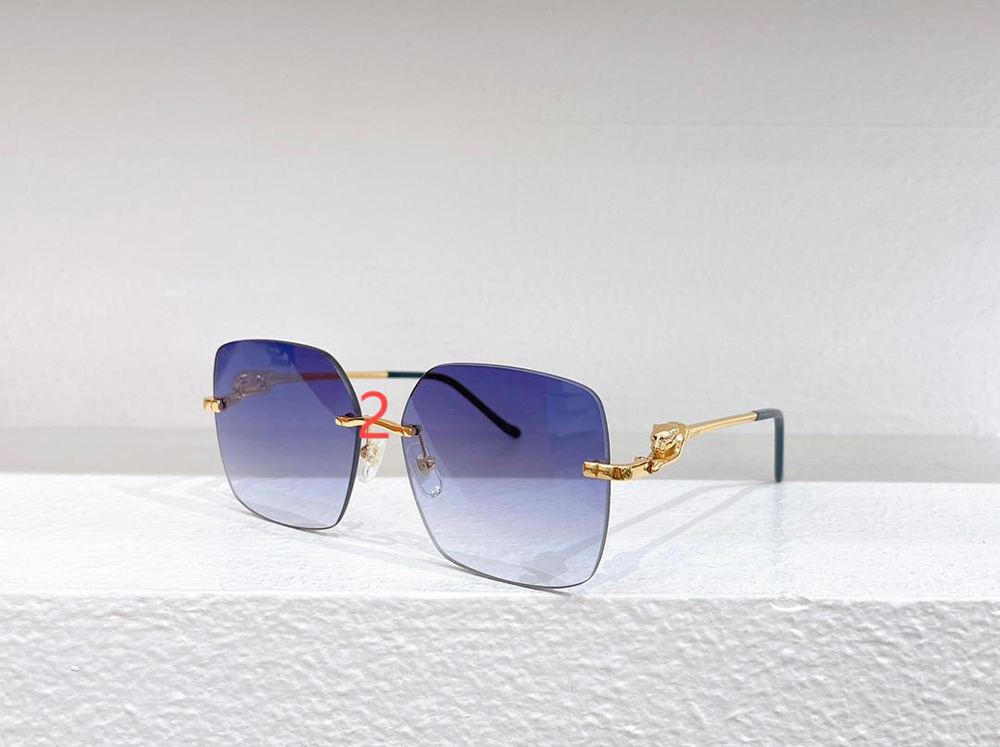 Cartier eyeglasses CT0359S