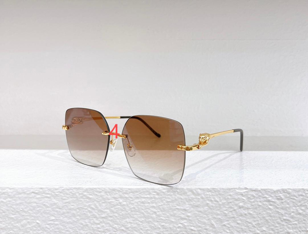 Cartier eyeglasses CT0359S