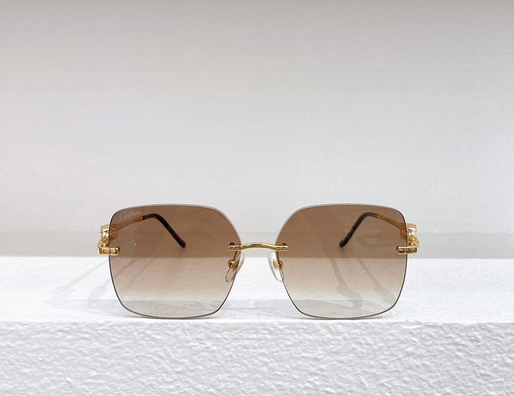Cartier eyeglasses CT0359S