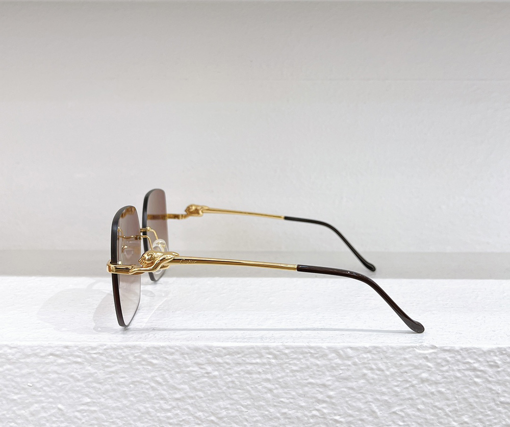 Cartier eyeglasses CT0359S