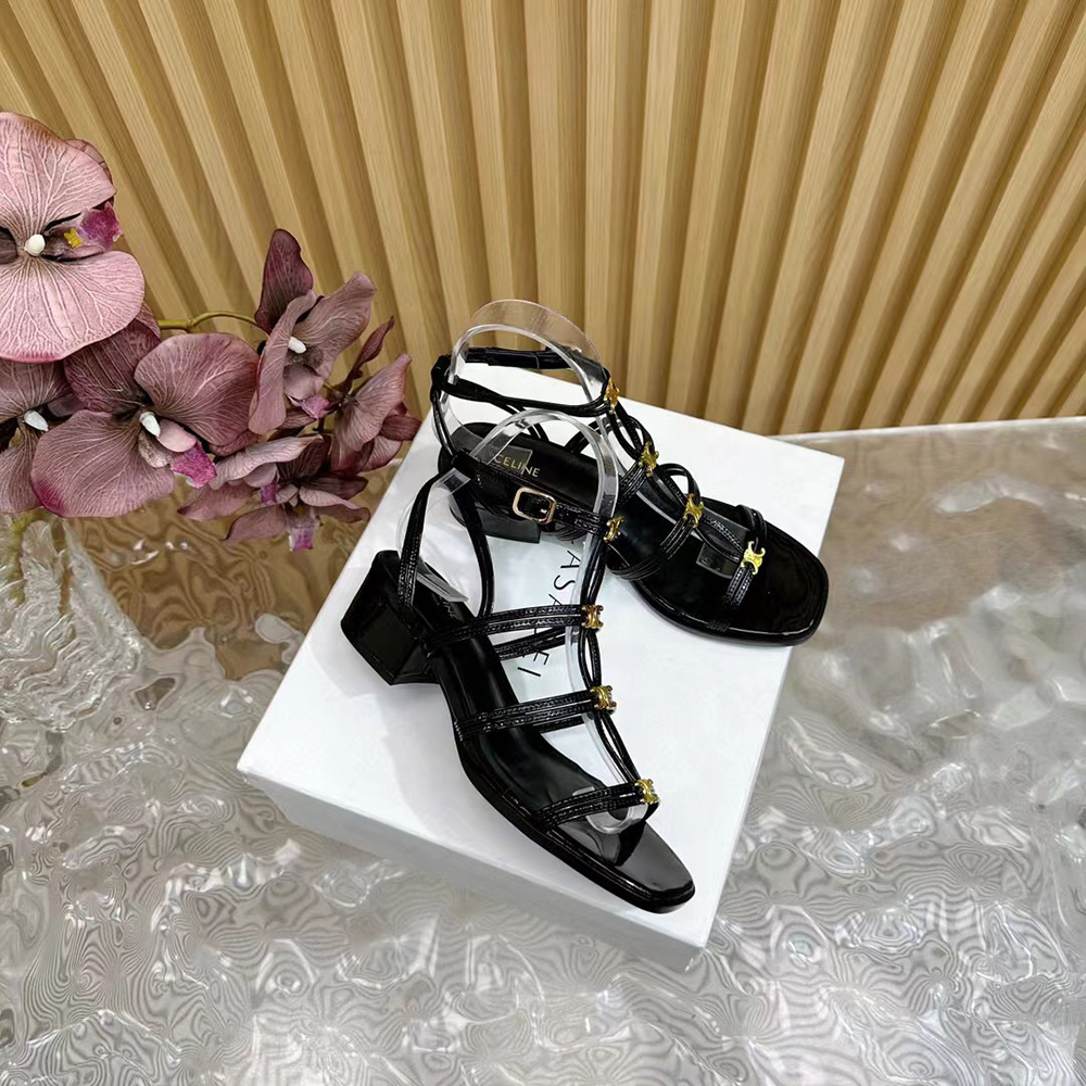 Celine Clemence Multi Triomphe Sandals