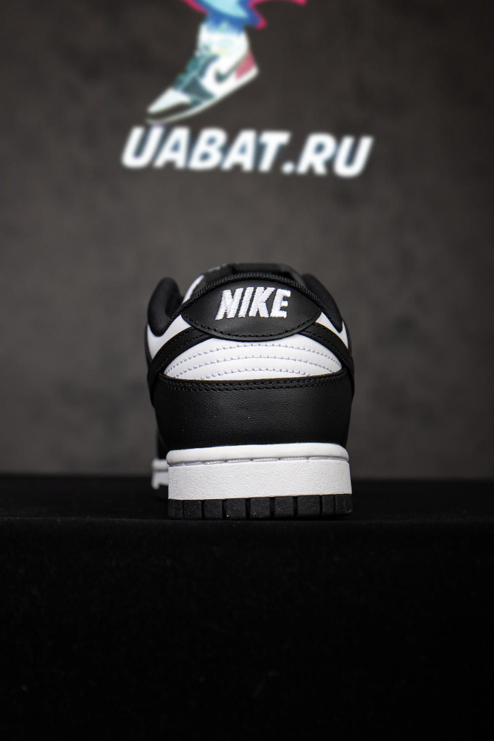 DUNK LOW 