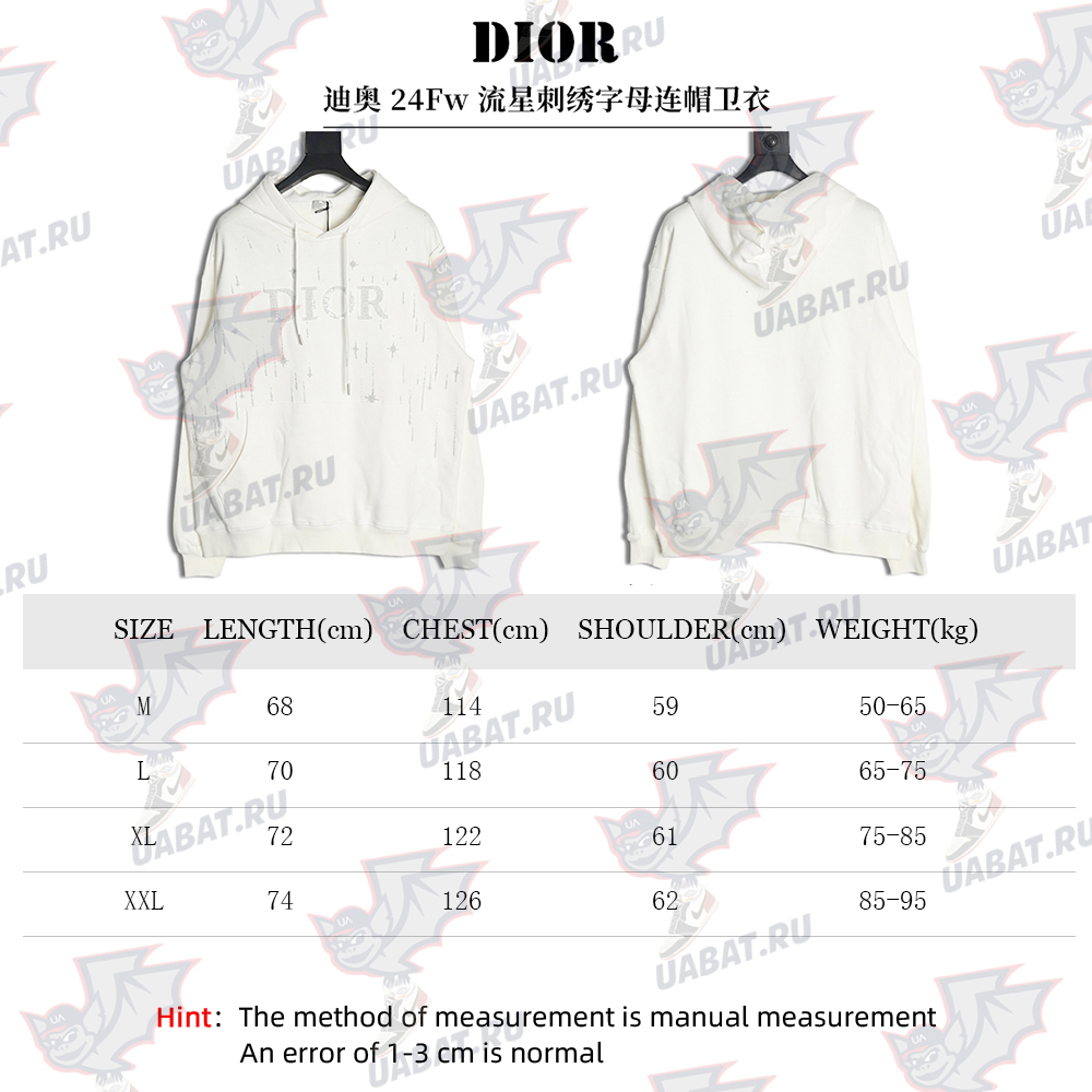 Dior shooting star embroidered lettering hoodie