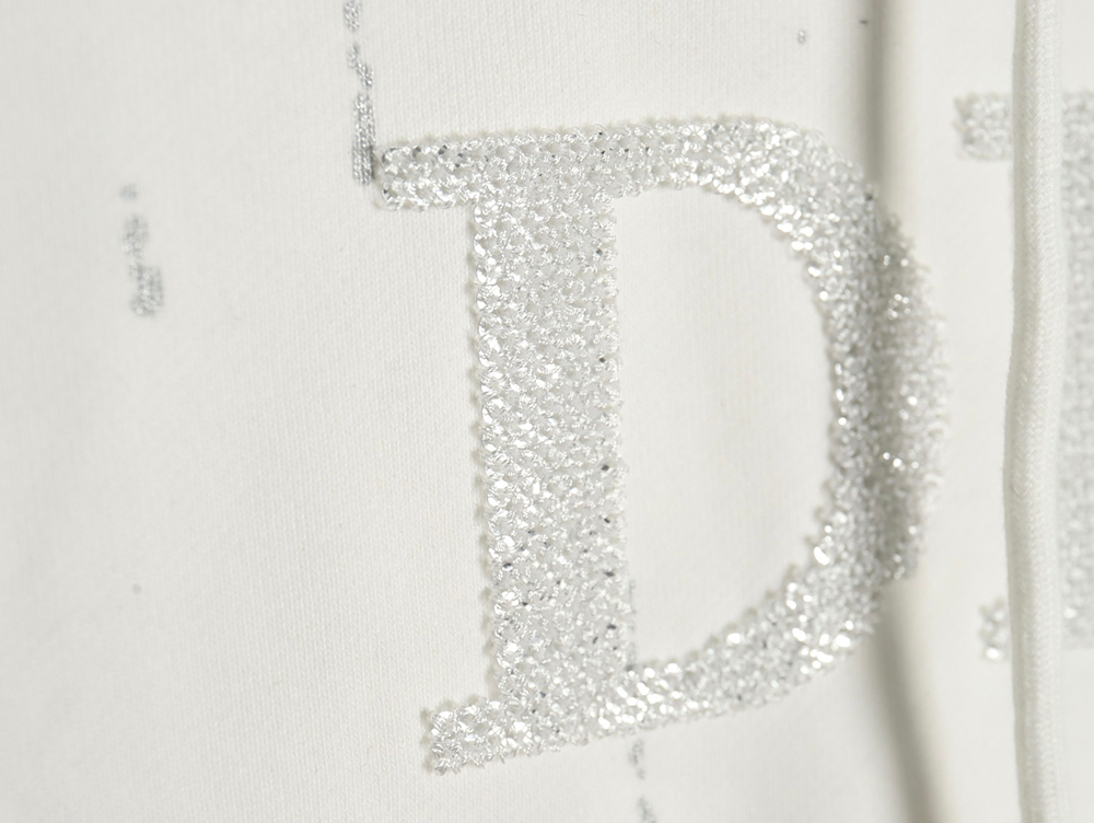 Dior shooting star embroidered lettering hoodie