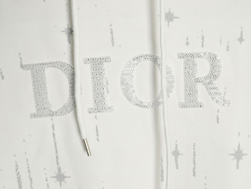 Dior shooting star embroidered lettering hoodie