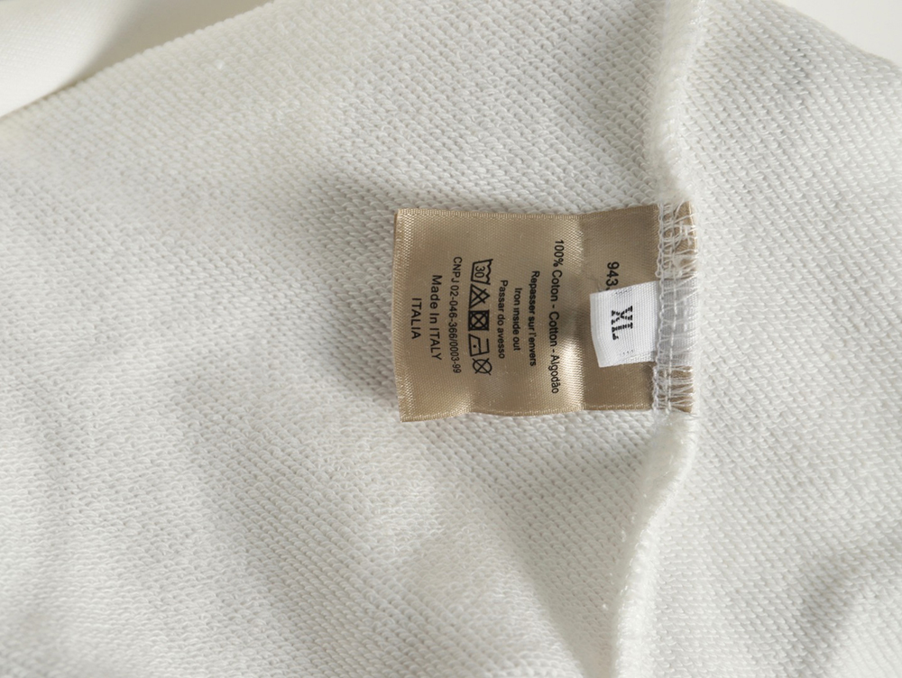 Dior shooting star embroidered lettering hoodie