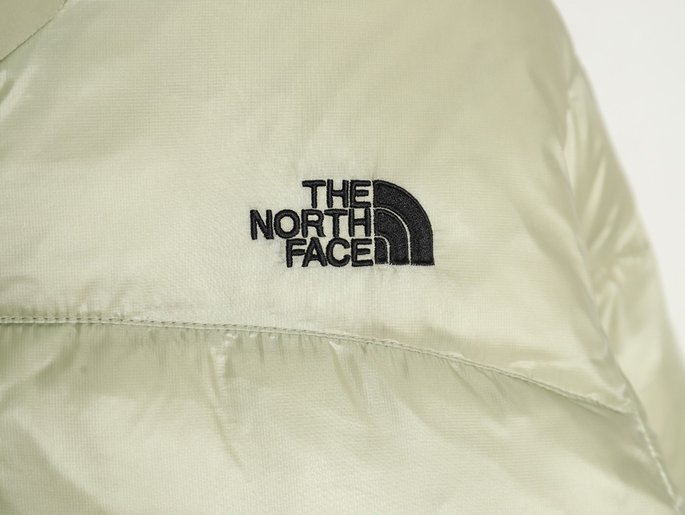 The North Face Outdoor Waterproof Down Jacket