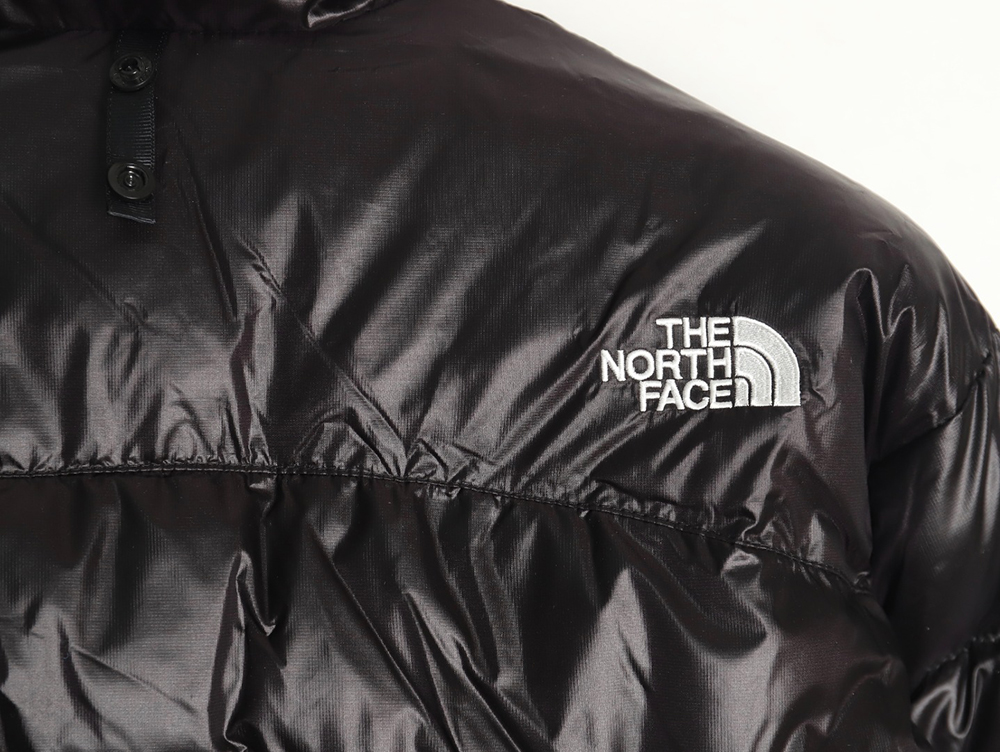 The North Face Outdoor Waterproof Down Jacket TSK1