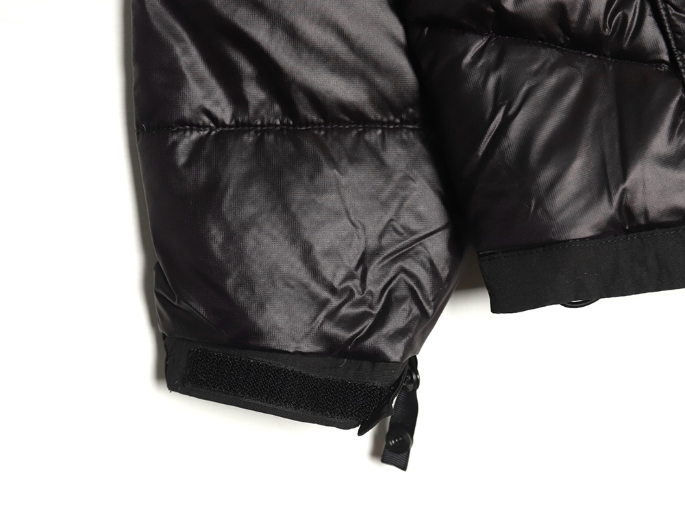 The North Face Outdoor Waterproof Down Jacket TSK1
