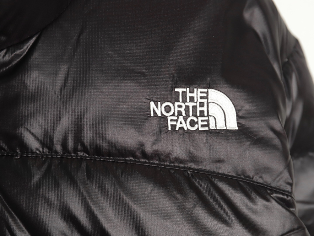 The North Face Outdoor Waterproof Down Jacket TSK1