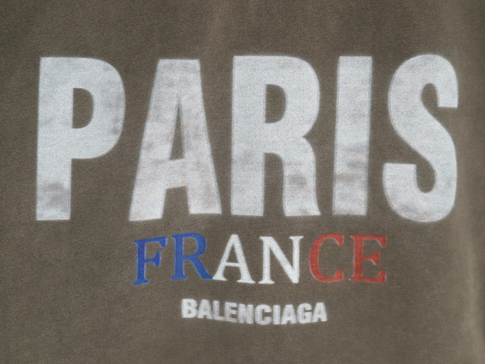 Balenciaga "PARIS" letter print velvet hooded sweatshirt