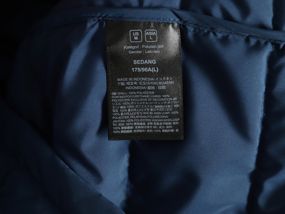 The North Face detachable outdoor down jacket TSK1
