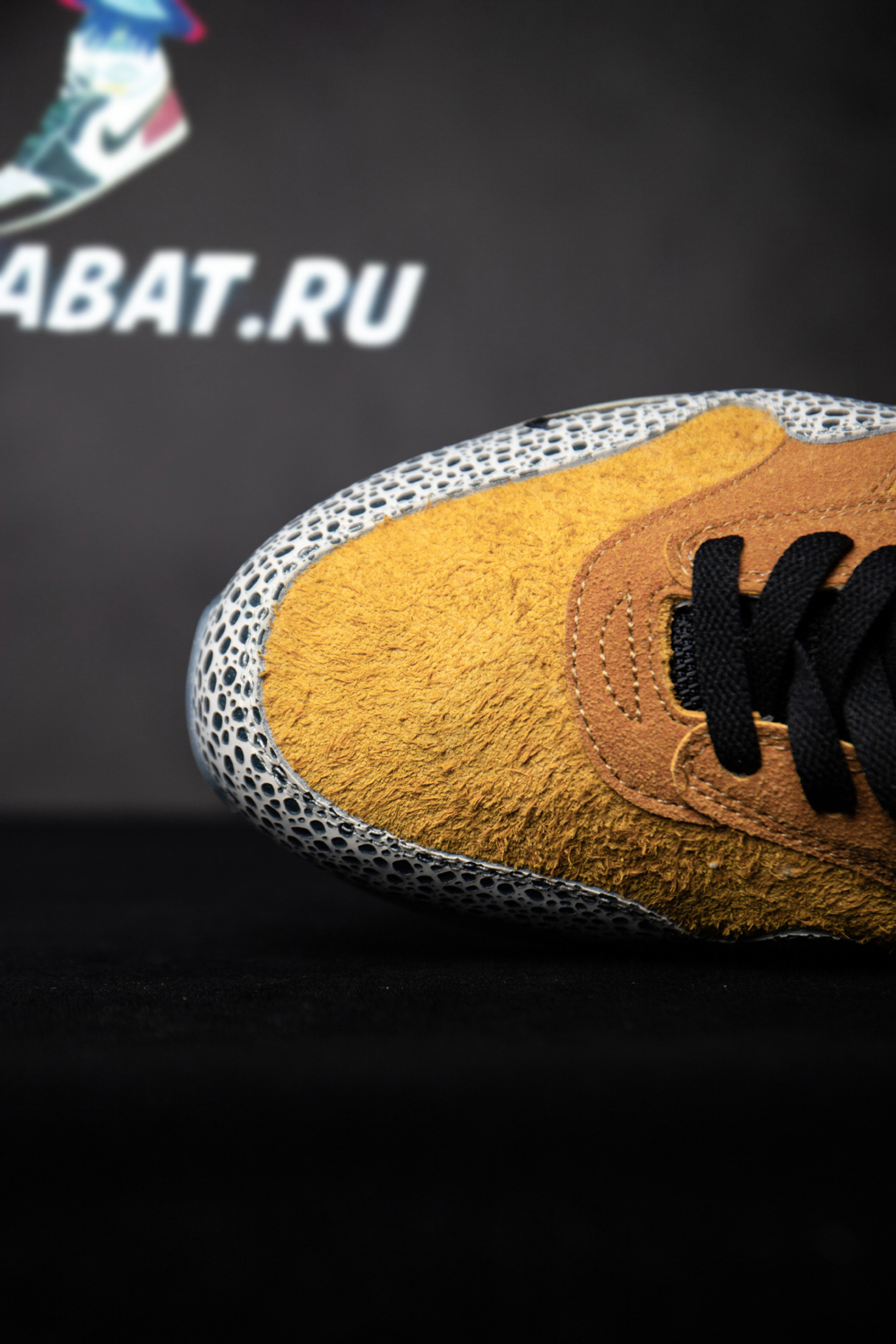 Atmos x Air Max 1 