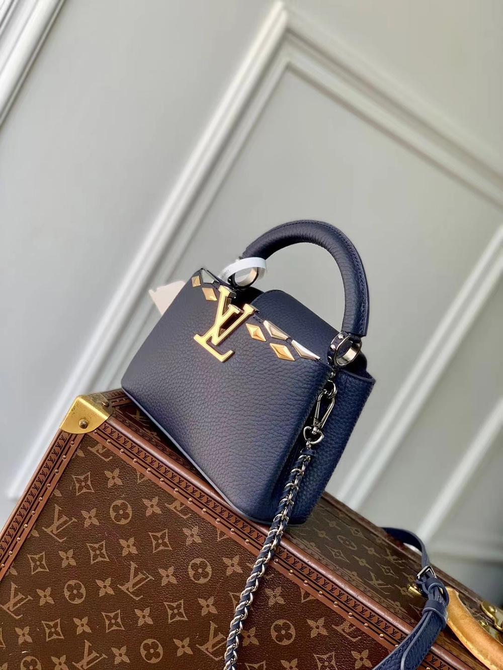 Louis Vuitton Capucines Bags M12751