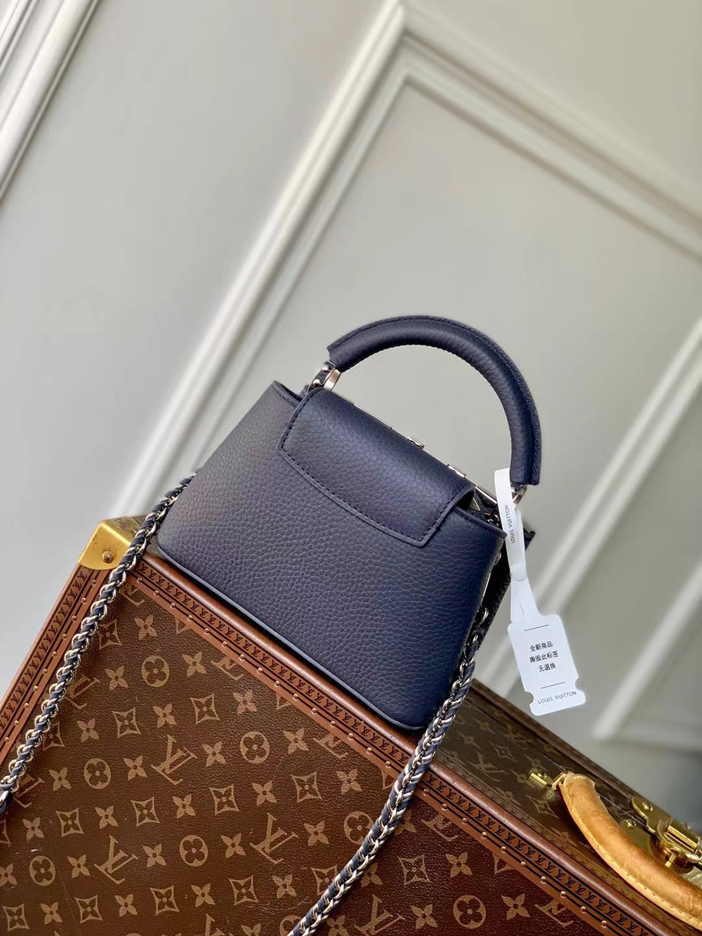 Louis Vuitton Capucines Bags M12751