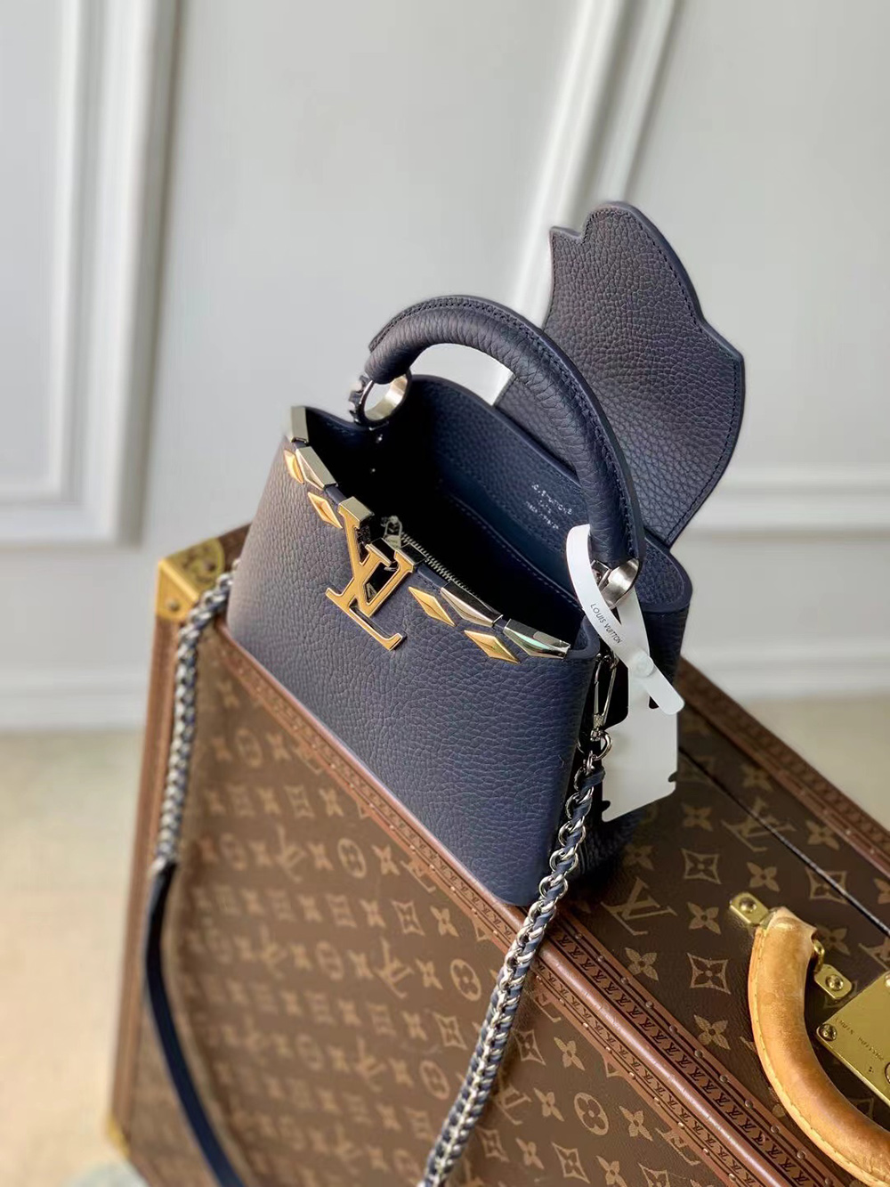 Louis Vuitton Capucines Bags M12751
