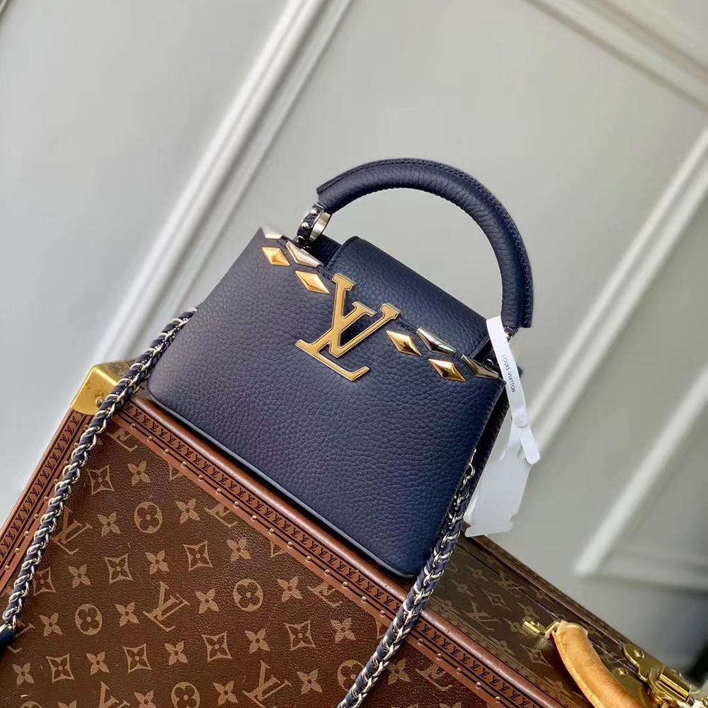 Louis Vuitton Capucines Bags M12751