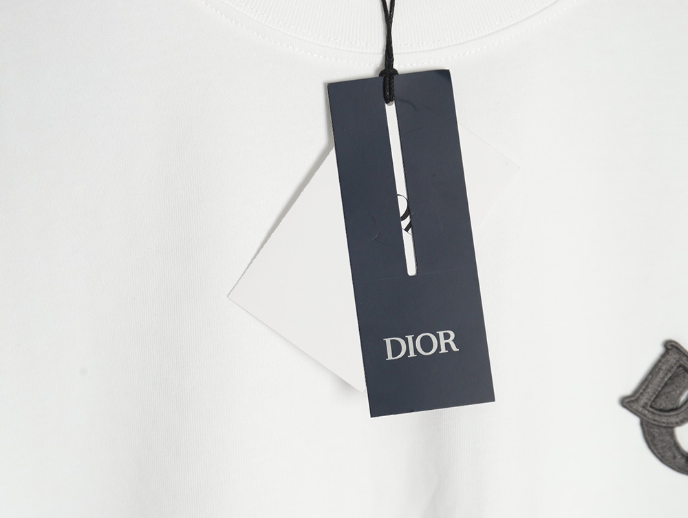 Dior four-color embroidered chapter letter T-shirt