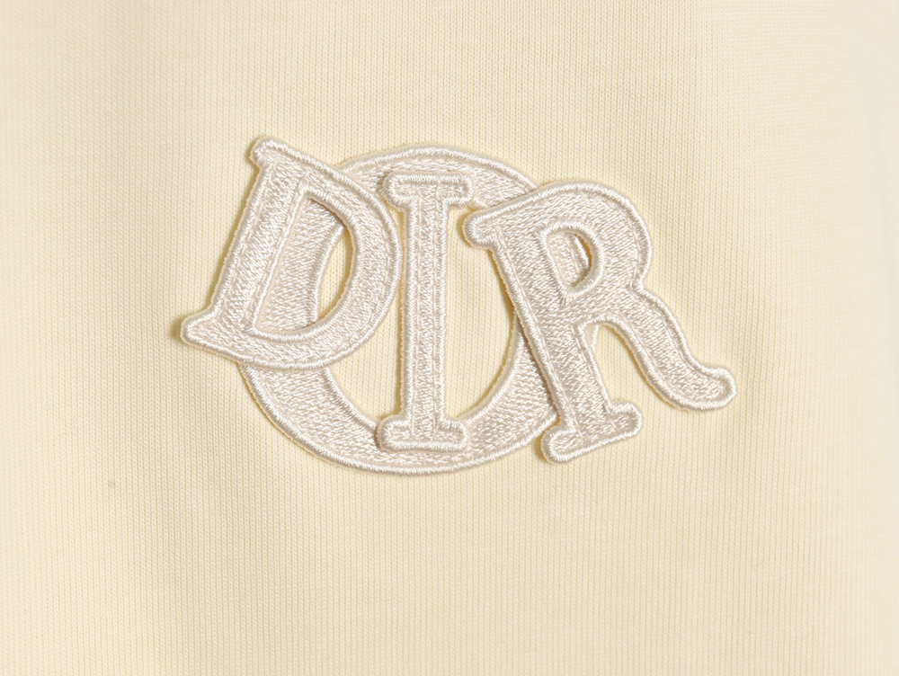 Dior four-color embroidered chapter letter T-shirt TSK1