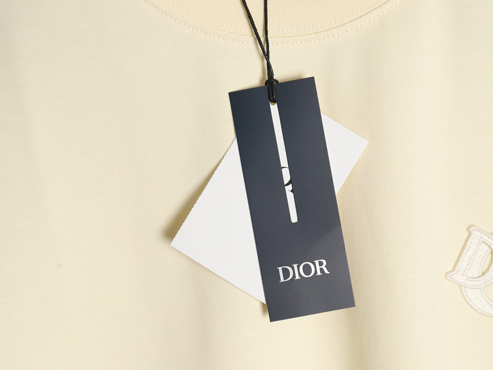 Dior four-color embroidered chapter letter T-shirt TSK1