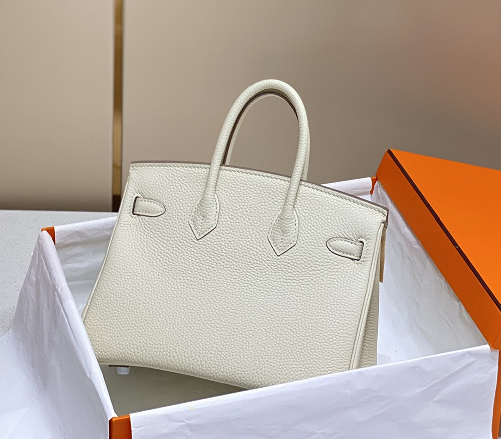 Hermes Birkin Bags AHE0336