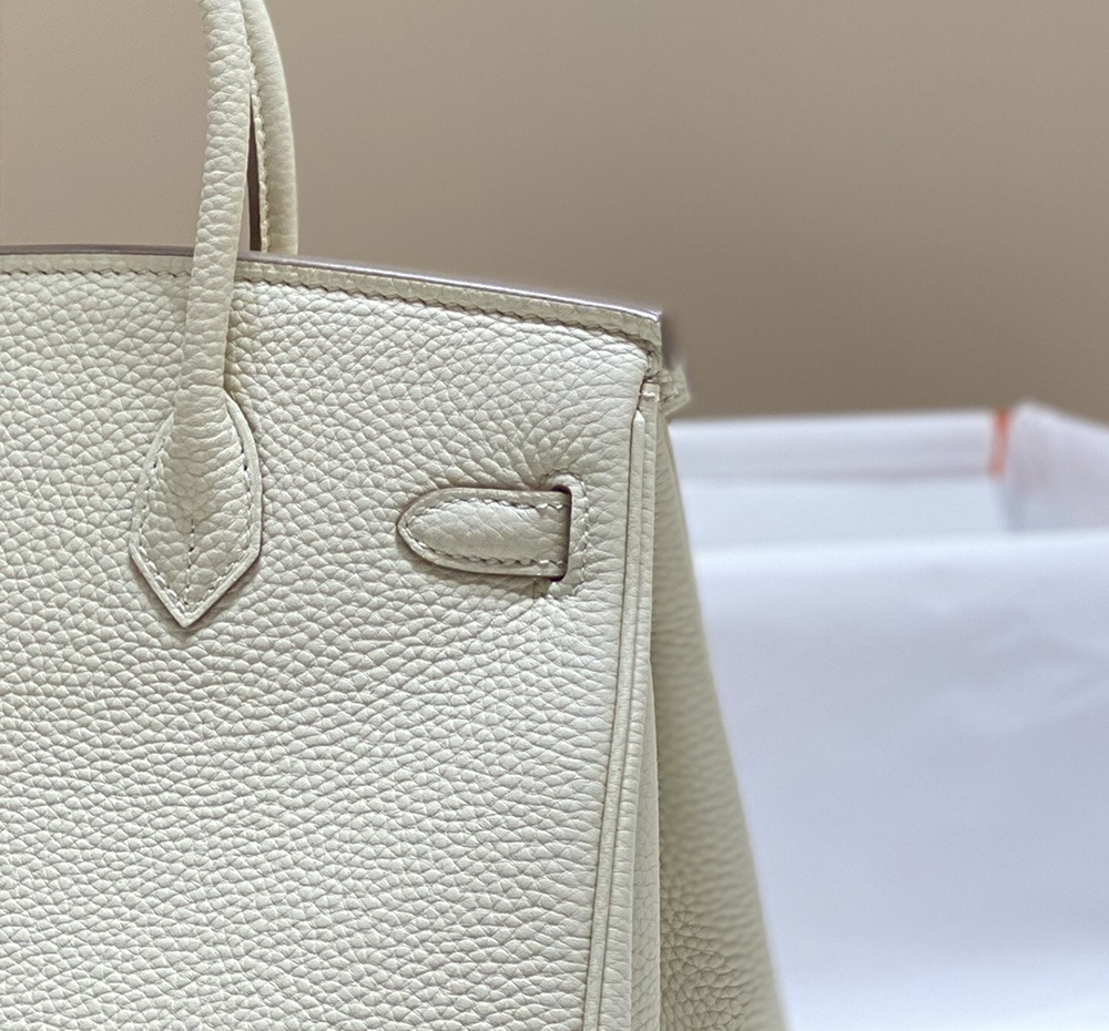 Hermes Birkin Bags AHE0336
