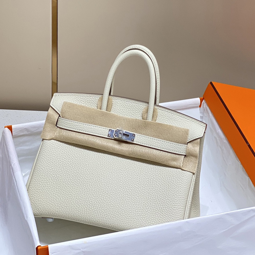 Hermes Birkin Bags AHE0336